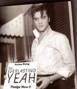 Latest Flame: Elvis has a hunk of love for Anima Rising, apparently