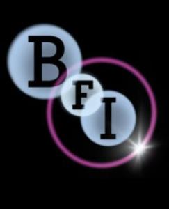 bfi-2