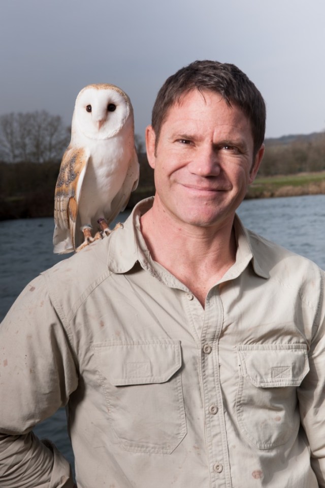 Owl's That: Steve Backshall and a feathered friend prepare to tour, and not just on the barn circuit