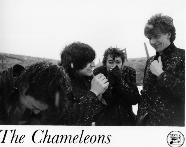 Cold Comfort: The Chameleons, back in the day, during their Statik tenure