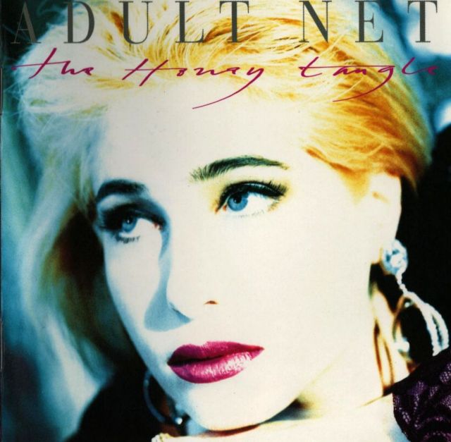 Honey Tangle: The first Brix LP away from The Fall, released as the Adult Net in 1989